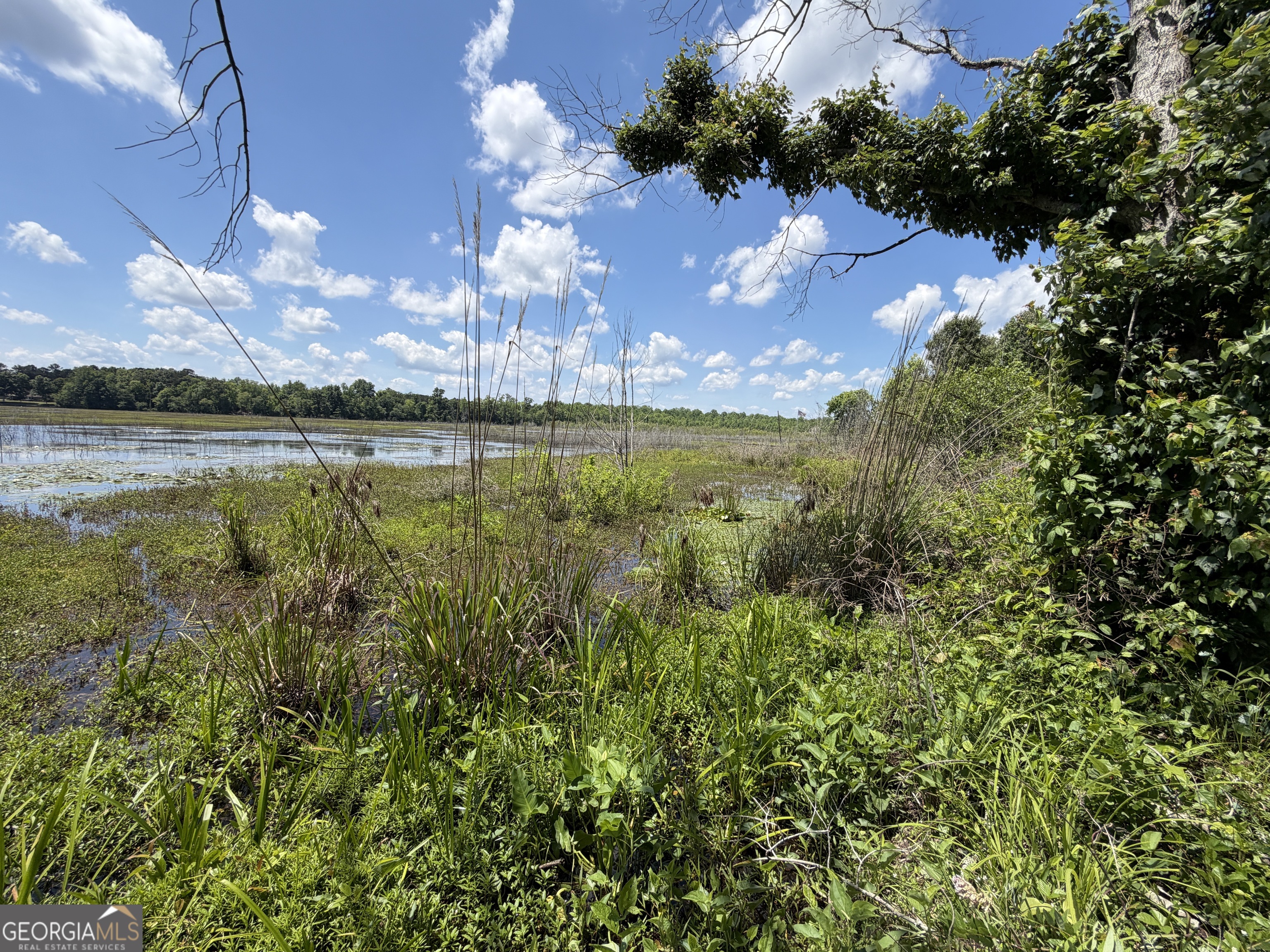 69 Acre Lakeshore Drive N Ivey GA 31031