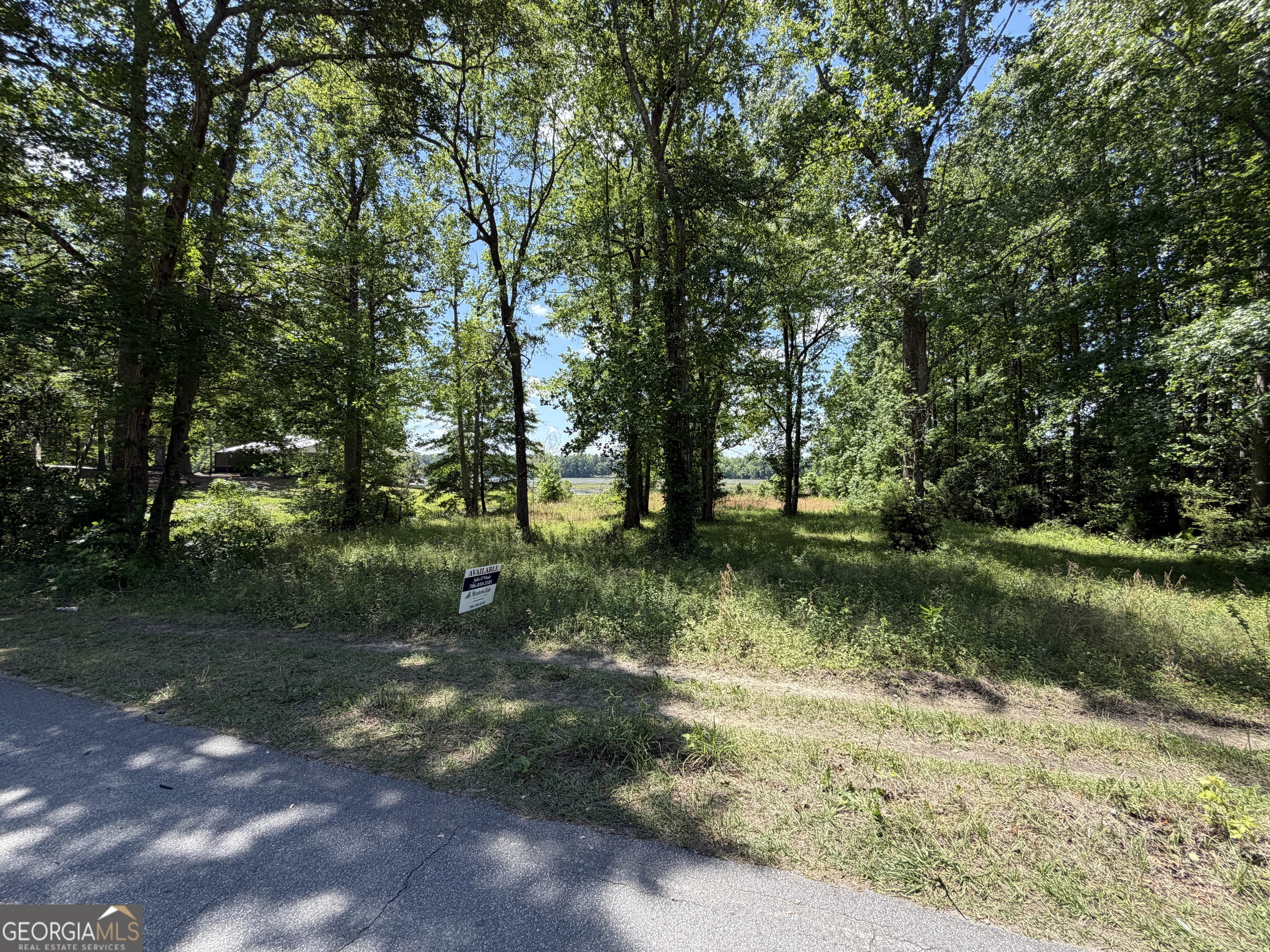 69 Acre Lakeshore Drive N Ivey GA 31031
