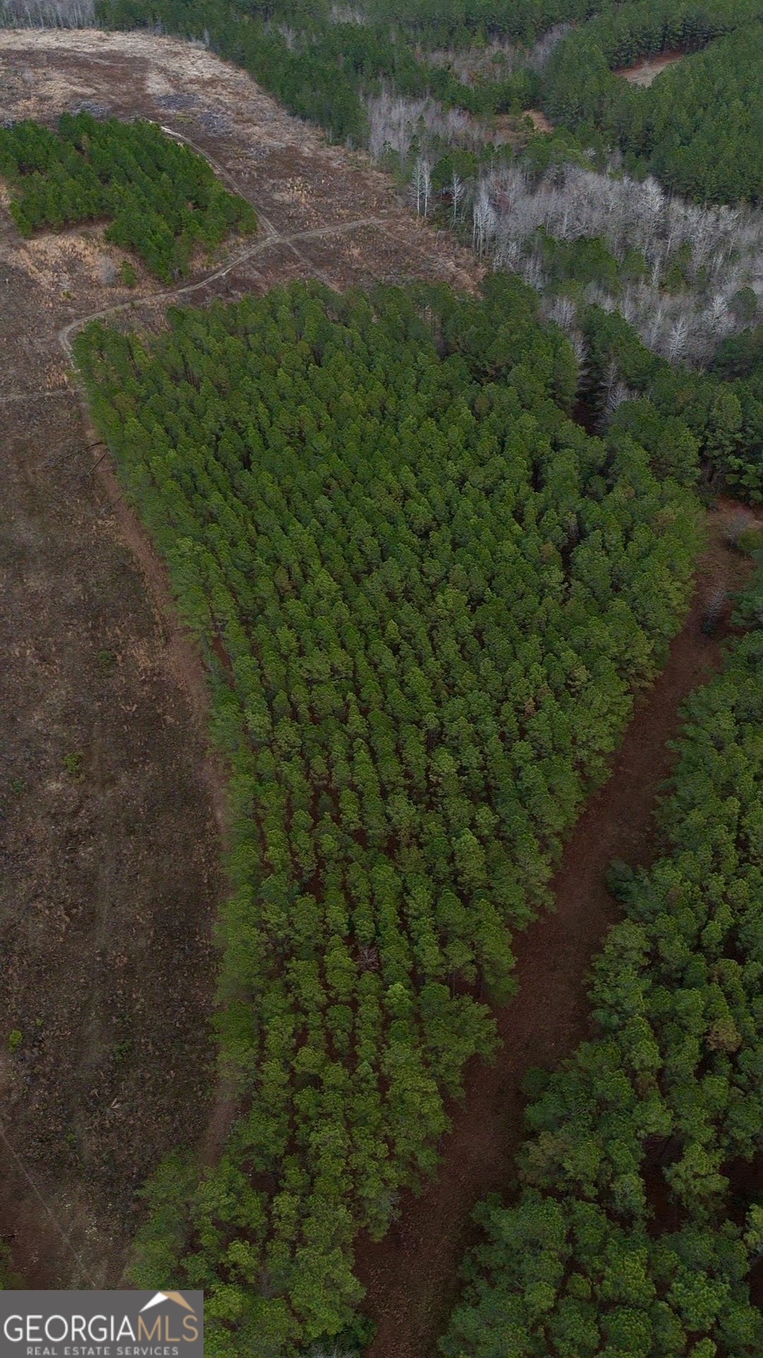0 Harmony Lane Lot 10a Milan GA 31060