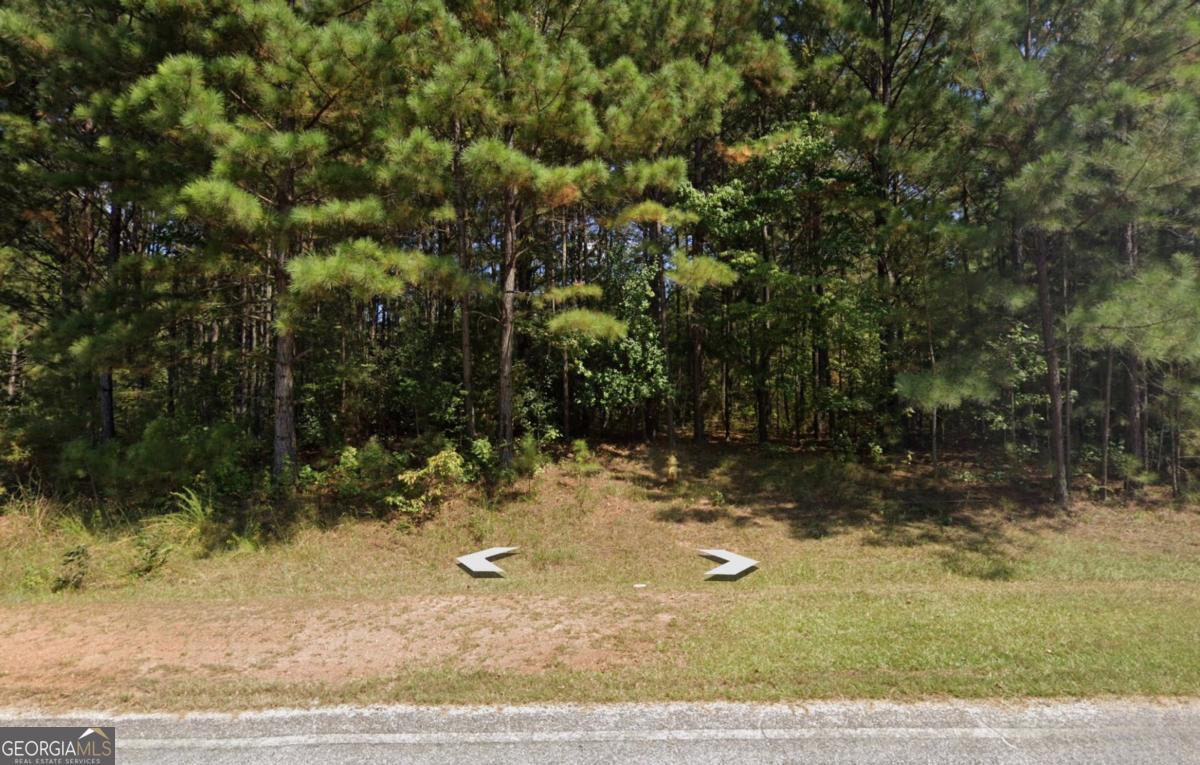 0 Ferry Road Franklin GA 30217