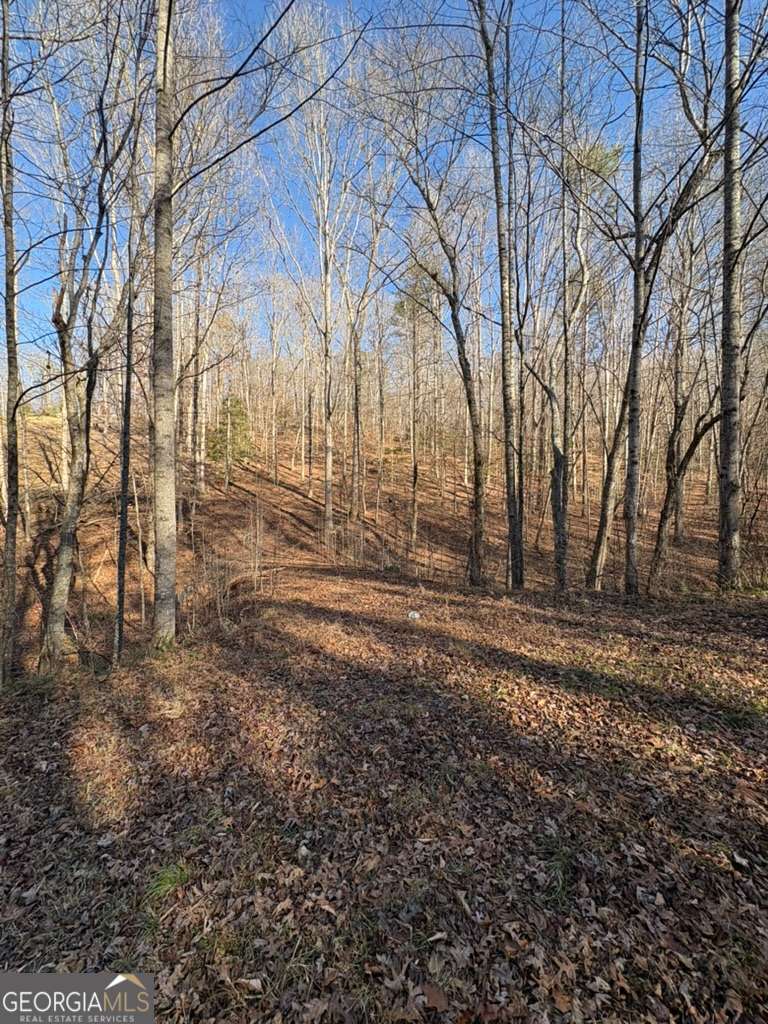 0 Gold View Drive Dahlonega GA 30533