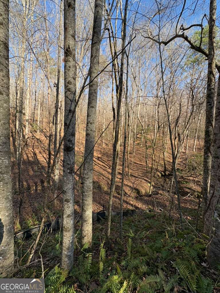 0 Gold View Drive Dahlonega GA 30533