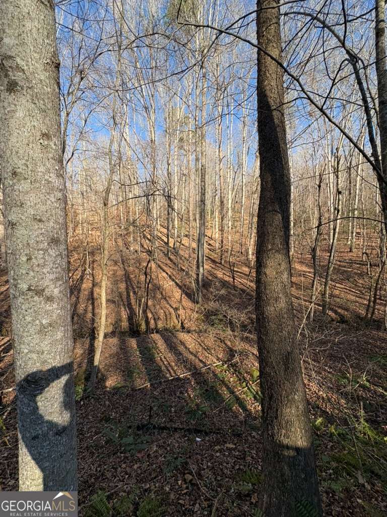 0 Gold View Drive Dahlonega GA 30533