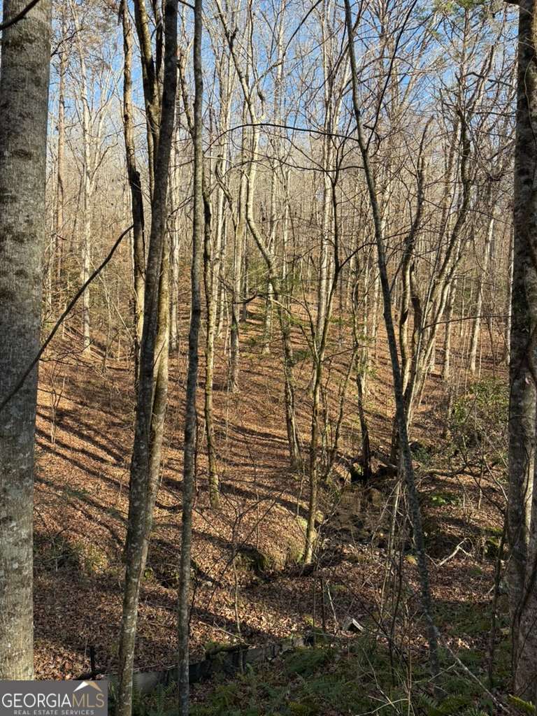 0 Gold View Drive Dahlonega GA 30533
