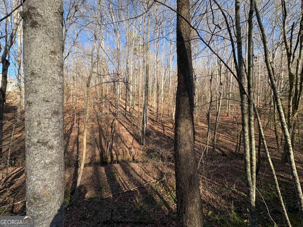 0 Gold View Drive Dahlonega GA 30533