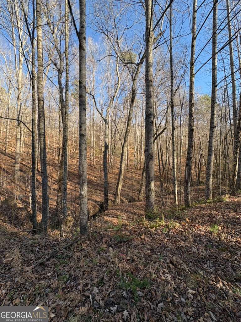 0 Gold View Drive Dahlonega GA 30533