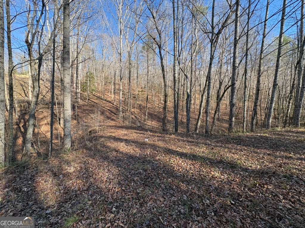 0 Gold View Drive Dahlonega GA 30533