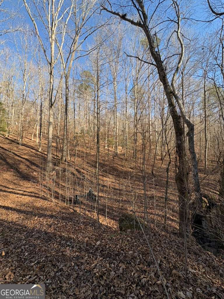 0 Gold View Drive Dahlonega GA 30533