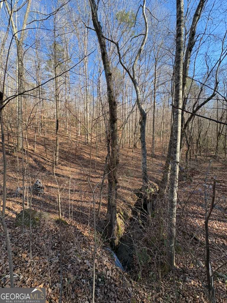 0 Gold View Drive Dahlonega GA 30533