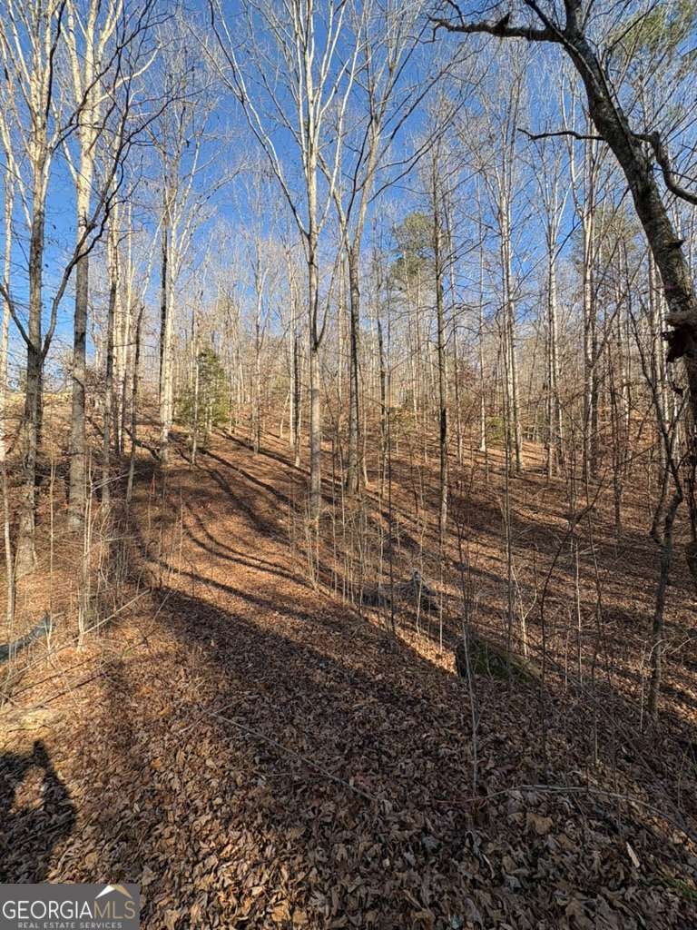 0 Gold View Drive Dahlonega GA 30533