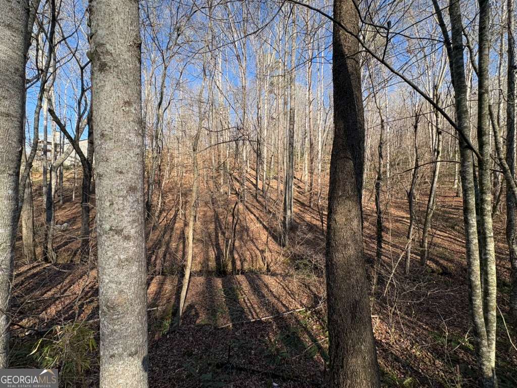 0 Gold View Drive Dahlonega GA 30533