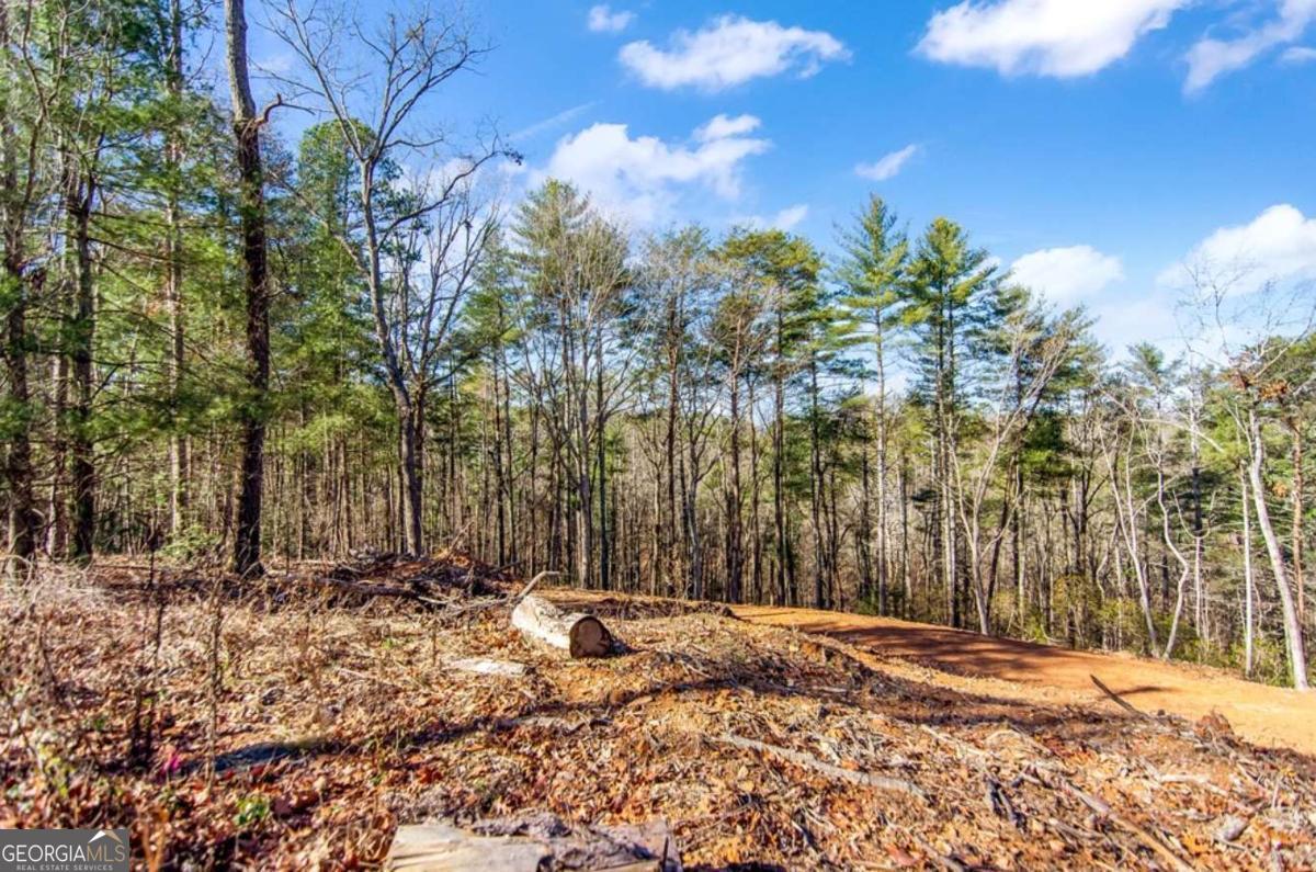 3.12 Acr Eric Lane Ellijay GA 30540
