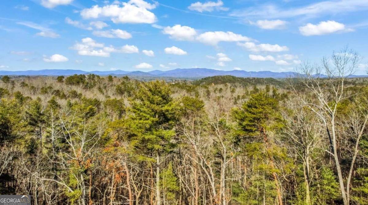3.12 Acr Eric Lane Ellijay GA 30540