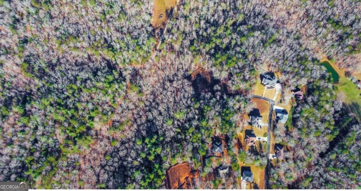 3.12 Acr Eric Lane Ellijay GA 30540