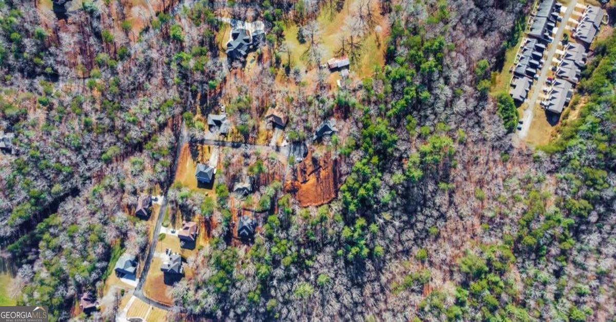 3.12 Acr Eric Lane Ellijay GA 30540