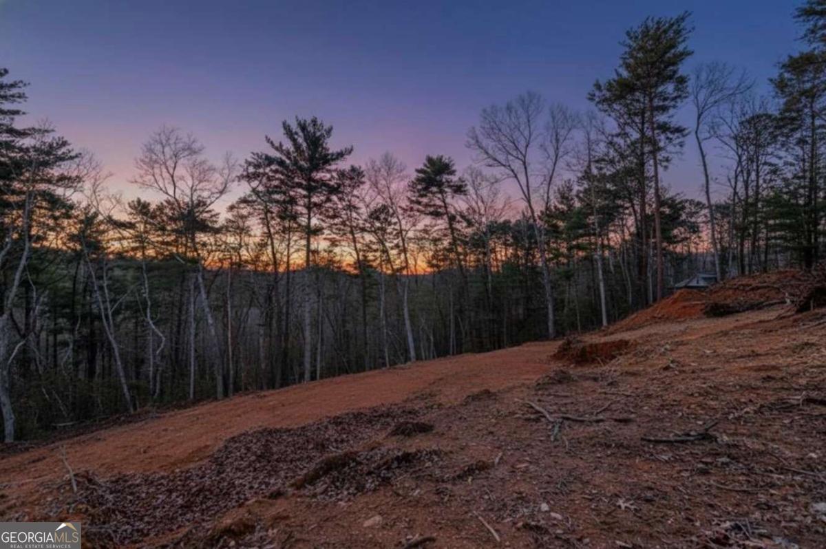3.12 Acr Eric Lane Ellijay GA 30540