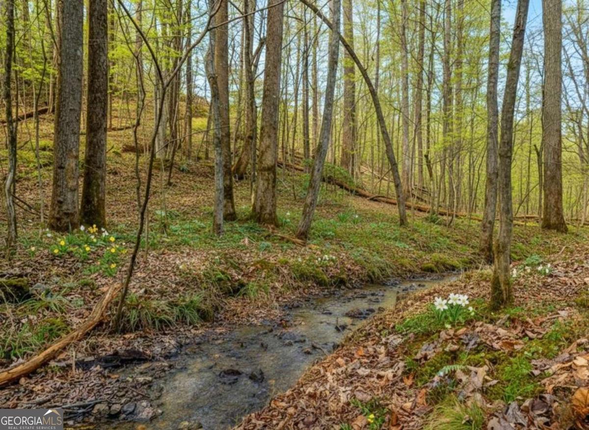 3.12 Acr Eric Lane Ellijay GA 30540