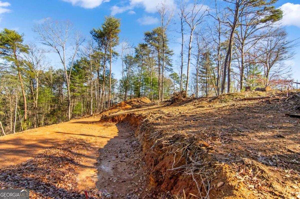 3.12 Acr Eric Lane Ellijay GA 30540