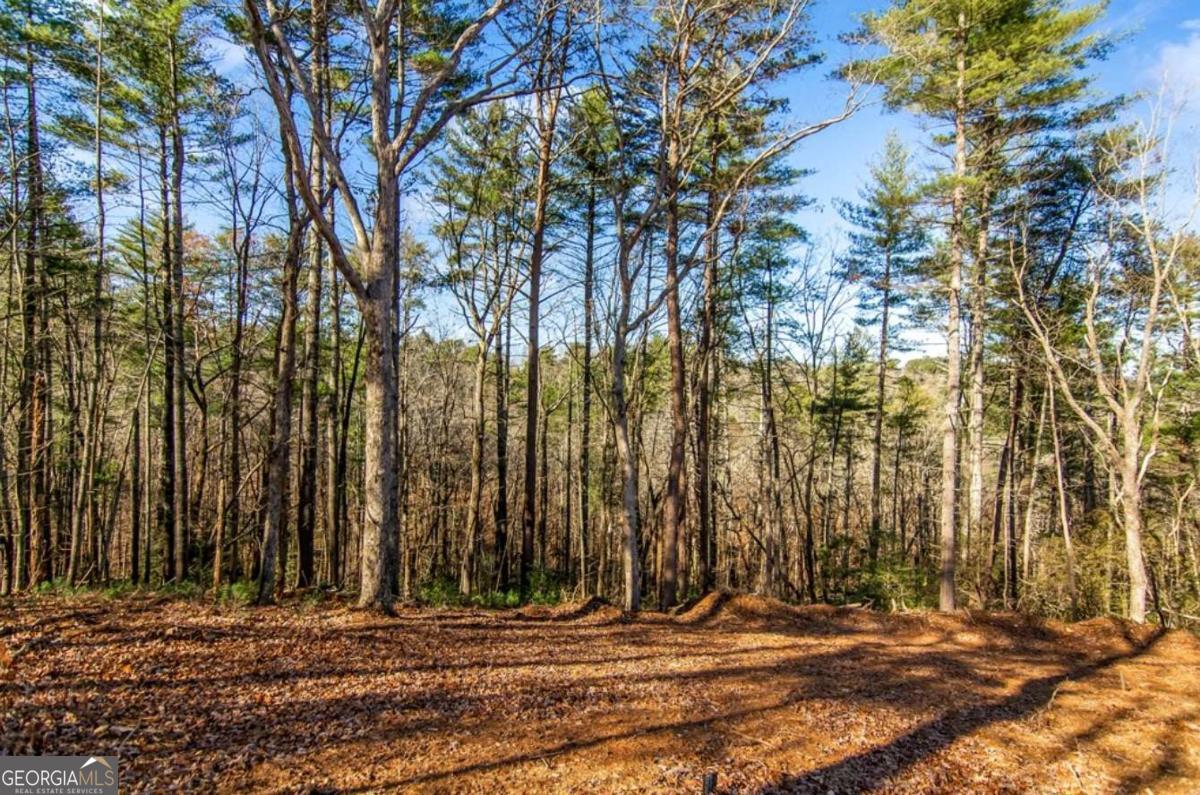 3.12 Acr Eric Lane Ellijay GA 30540