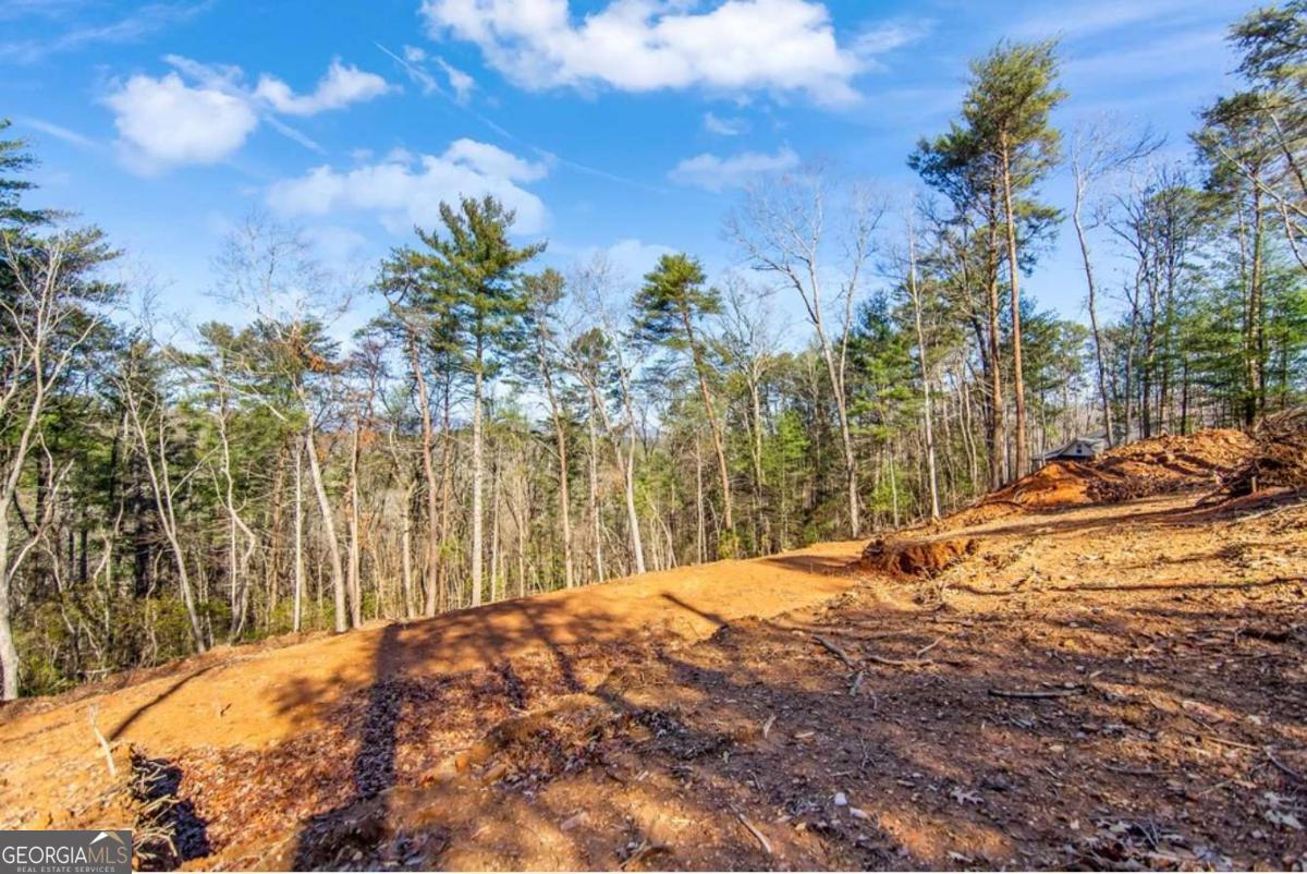 3.12 Acr Eric Lane Ellijay GA 30540