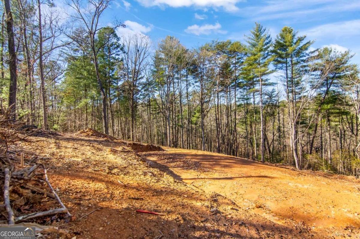 3.12 Acr Eric Lane Ellijay GA 30540