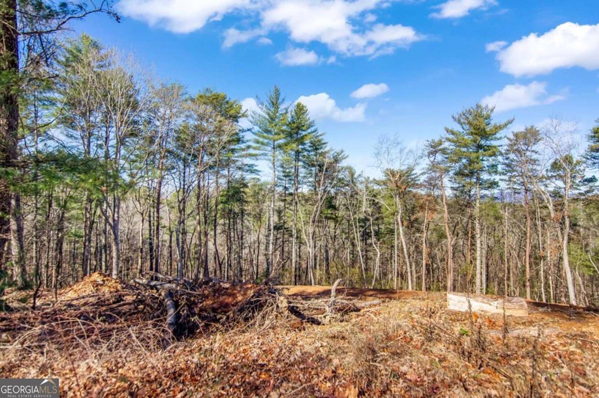 3.12 Acr Eric Lane Ellijay GA 30540