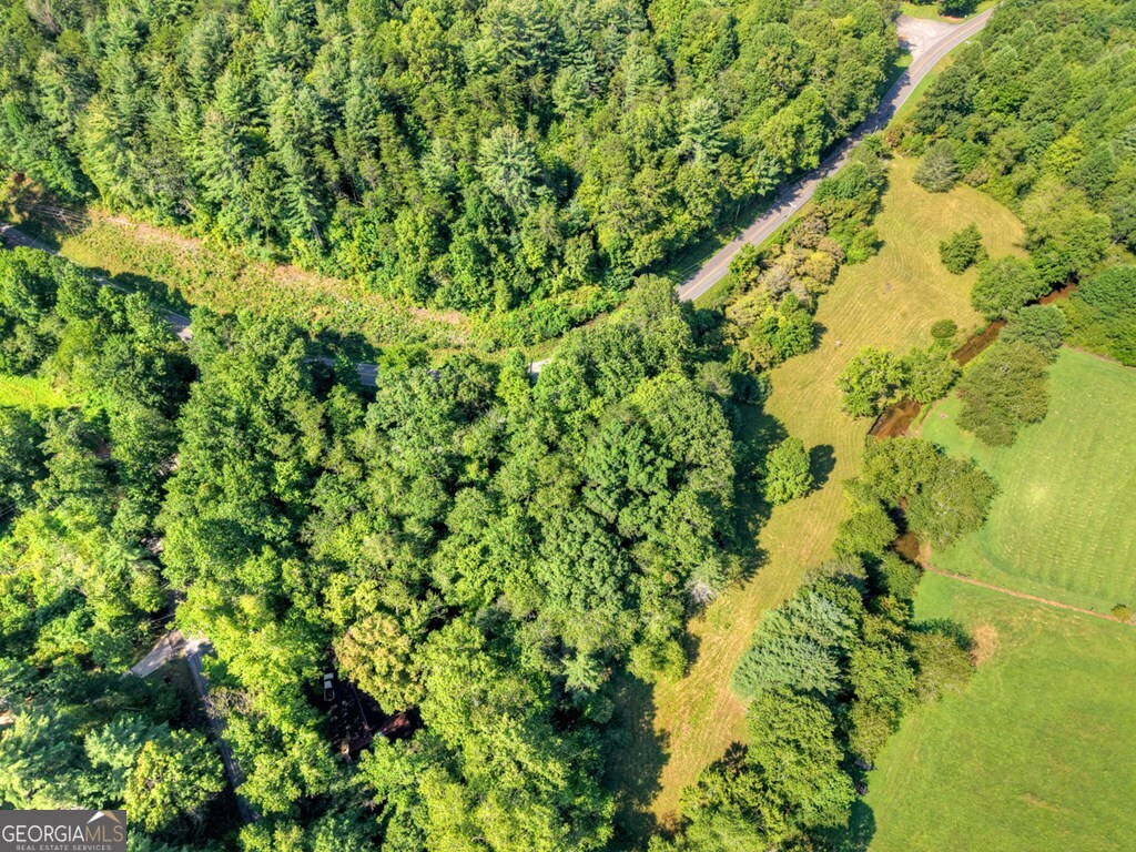 0 Highway 2 Blue Ridge GA 30513