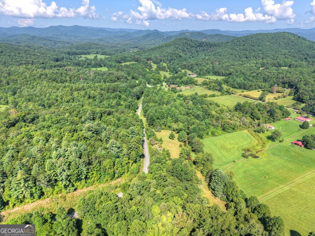 0 Highway 2 Blue Ridge GA 30513