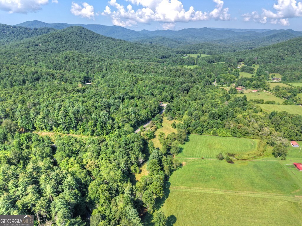 0 Highway 2 Blue Ridge GA 30513