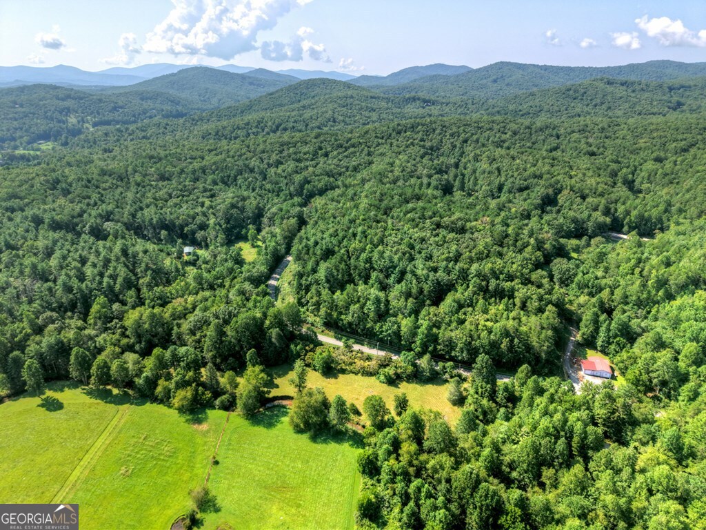 0 Highway 2 Blue Ridge GA 30513