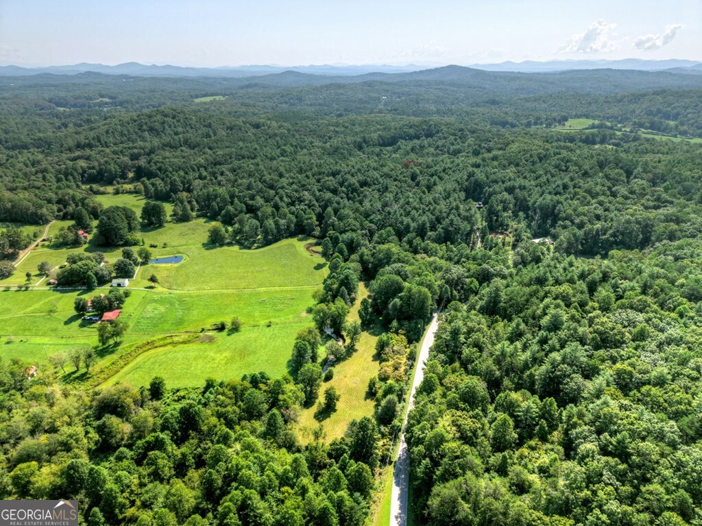 0 Highway 2 Blue Ridge GA 30513