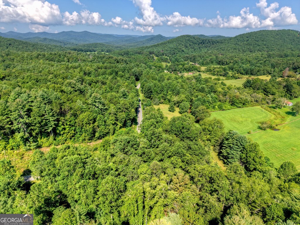 0 Highway 2 Blue Ridge GA 30513