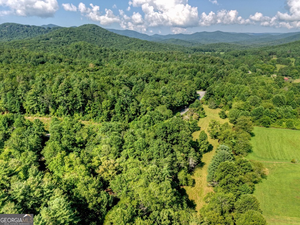 0 Highway 2 Blue Ridge GA 30513
