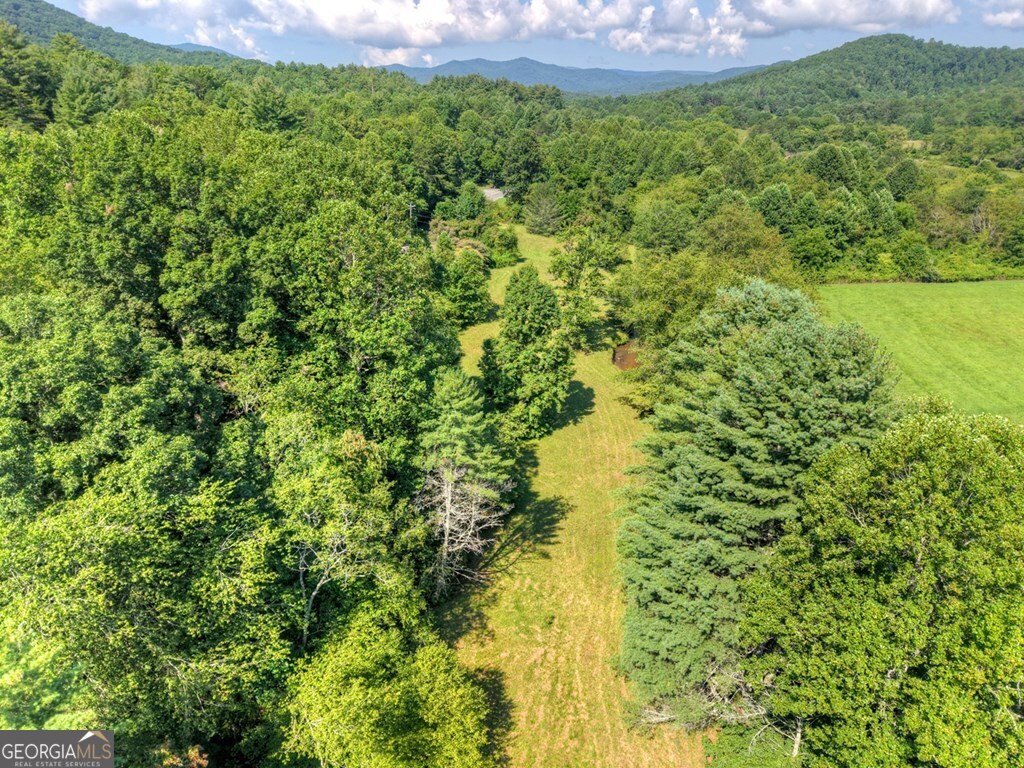 0 Highway 2 Blue Ridge GA 30513