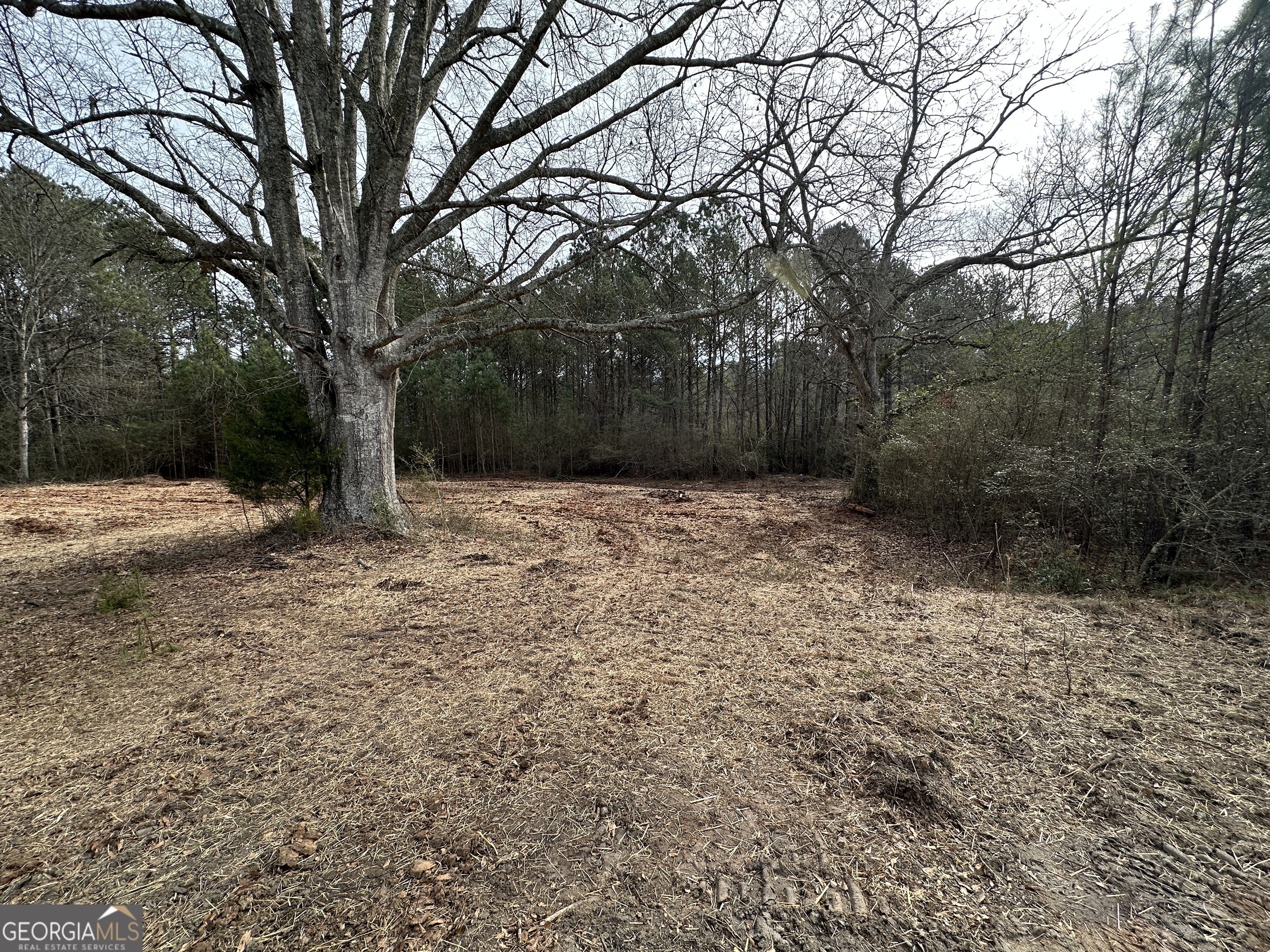 0 Victory Road Franklin GA 30217