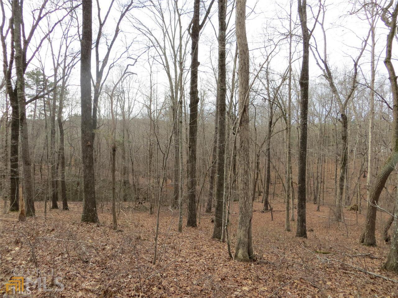 6151 Spout Springs Flowery Branch GA 30542