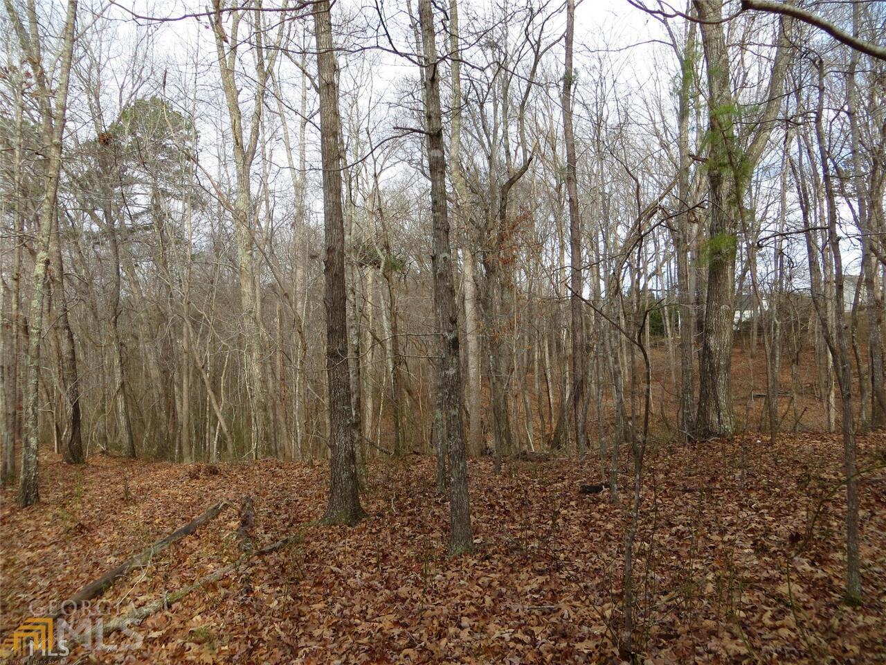 6151 Spout Springs Flowery Branch GA 30542