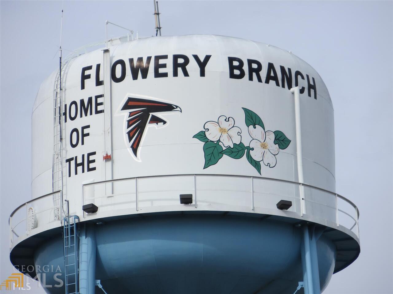 6151 Spout Springs Flowery Branch GA 30542