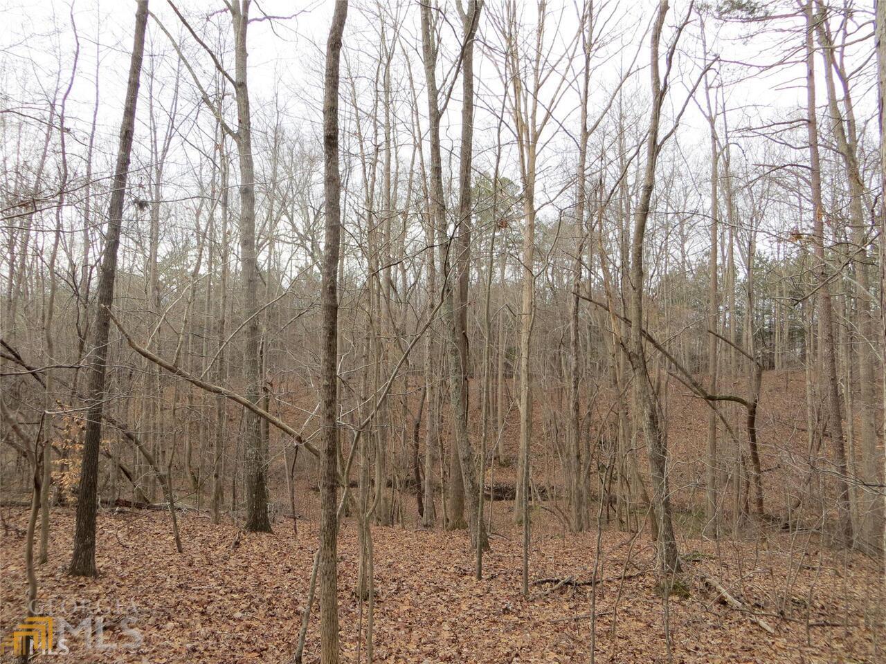 6151 Spout Springs Flowery Branch GA 30542