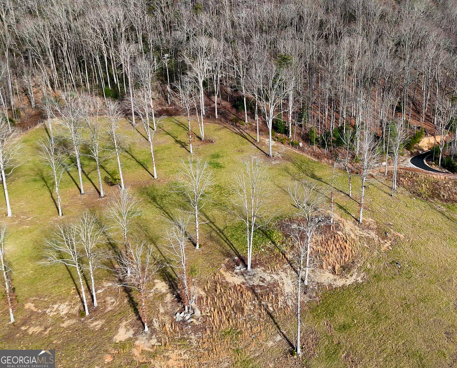 0 David Drive Tiger GA 30576