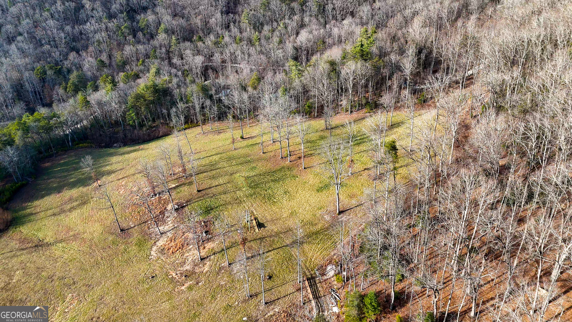 0 David Drive Tiger GA 30576