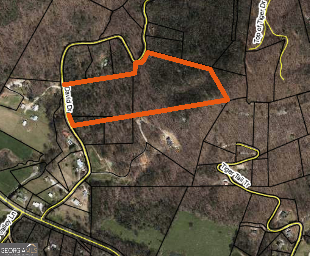 0 David Drive Tiger GA 30576