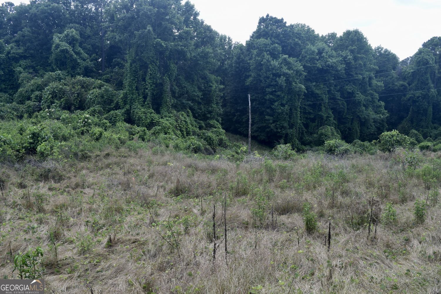 792 Lower Dowda Mill Road Jasper GA 30143
