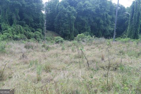 792 Lower Dowda Mill Road Jasper GA 30143