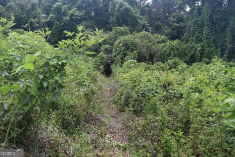 792 Lower Dowda Mill Road Jasper GA 30143