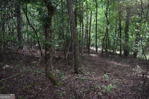 792 Lower Dowda Mill Road Jasper GA 30143