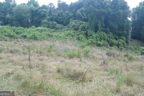 792 Lower Dowda Mill Road Jasper GA 30143