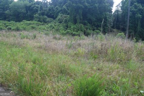 792 Lower Dowda Mill Road Jasper GA 30143