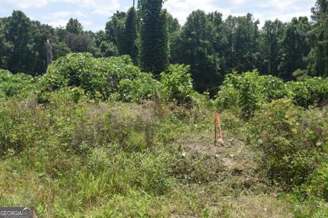792 Lower Dowda Mill Road Jasper GA 30143