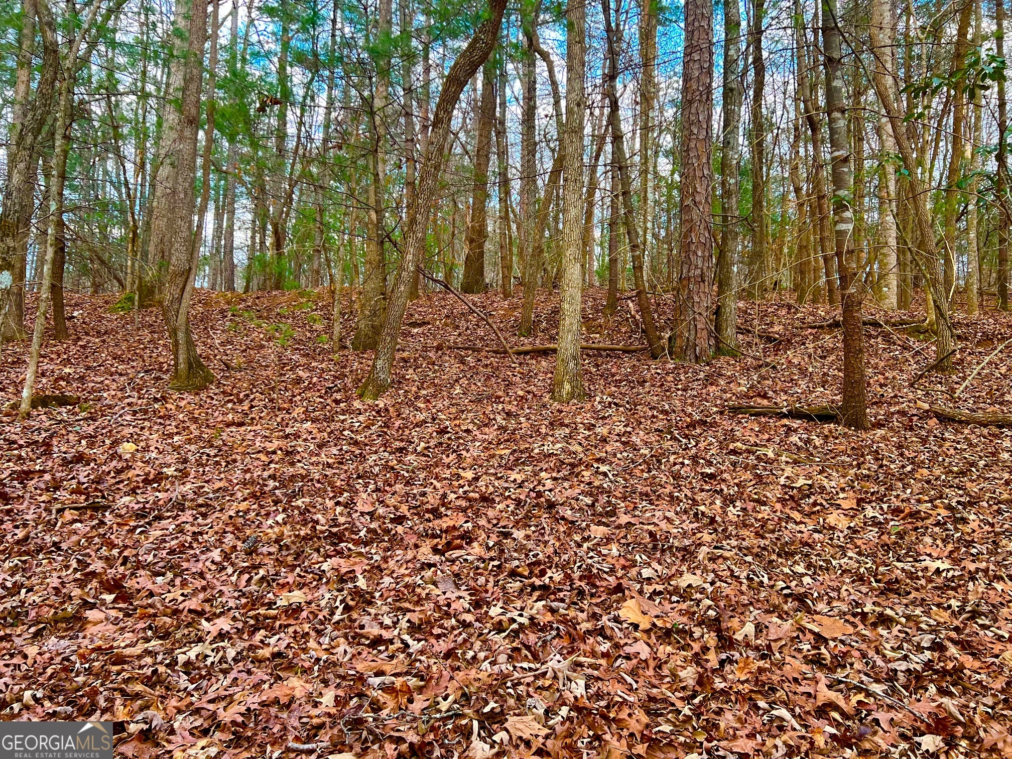 914 Villa Drive Ellijay GA 30540